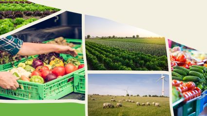 A collage of various farming and produce images leading to an article about Financing Food Systems from the Milken Institute.