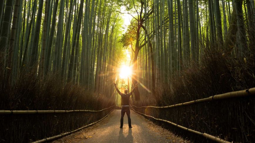 person with hands raise in air on tree-lined dark path, with sun shining at end of path